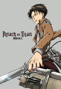 Attack On Titan Decke Levi Ackermann