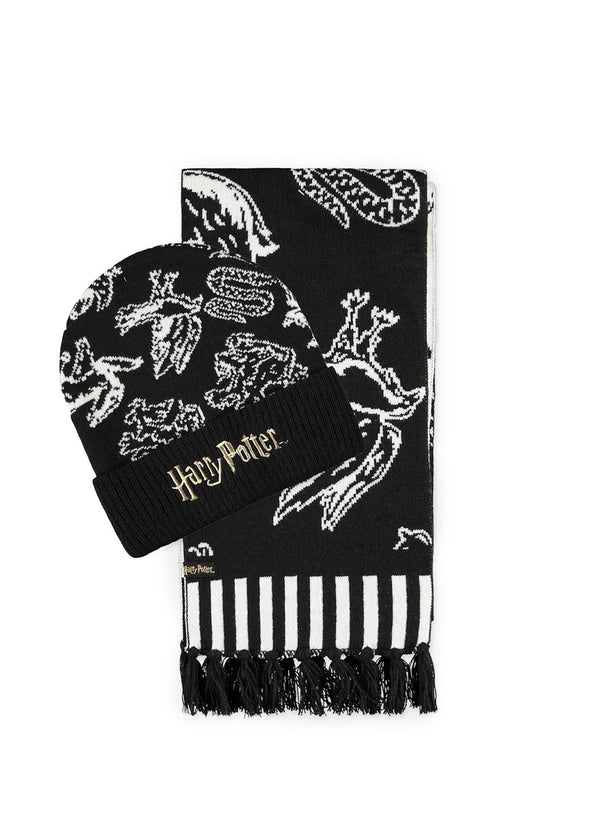 Harry Potter Beanie & Schal Set Hogwarts Houses Black & White